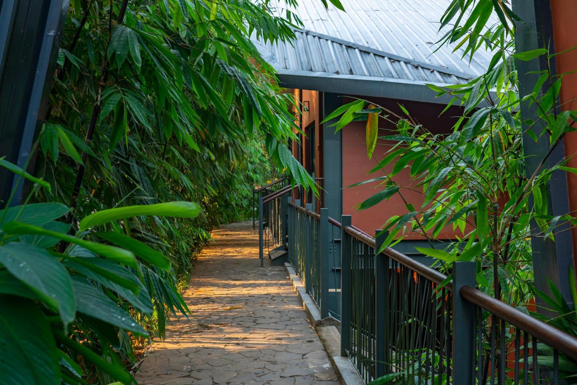 Vyna Hillock Resort And Spa 维特利 外观 照片